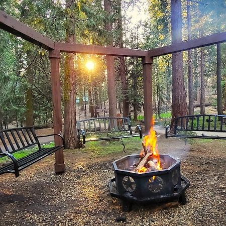 Sequoia Splendor, Inside Kings Canyon Np By Visitors Center Wilsonia Exteriér fotografie