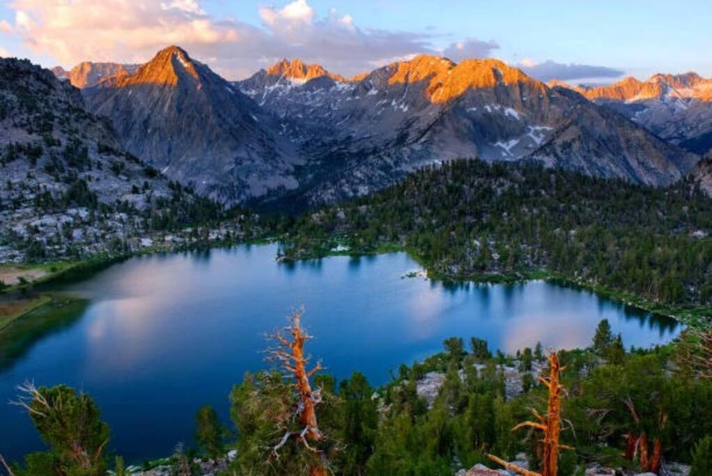 Sequoia Splendor, Inside Kings Canyon Np By Visitors Center Wilsonia Exteriér fotografie