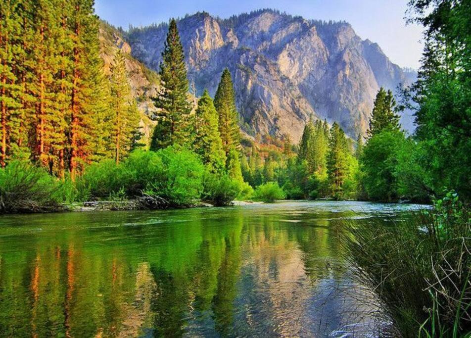 Sequoia Splendor, Inside Kings Canyon Np By Visitors Center Wilsonia Exteriér fotografie